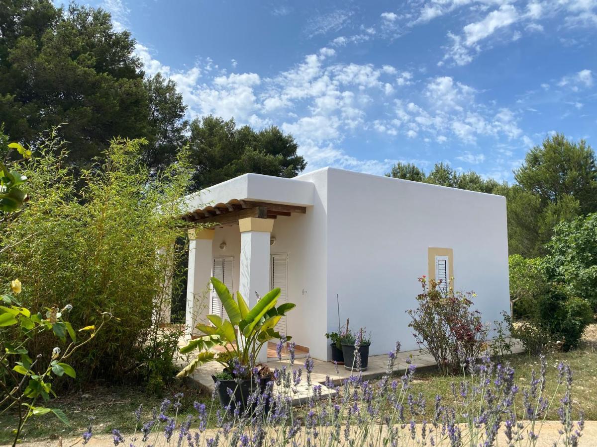 Villa Can Toni Miqueli Santa Gertrudis  Exterior foto